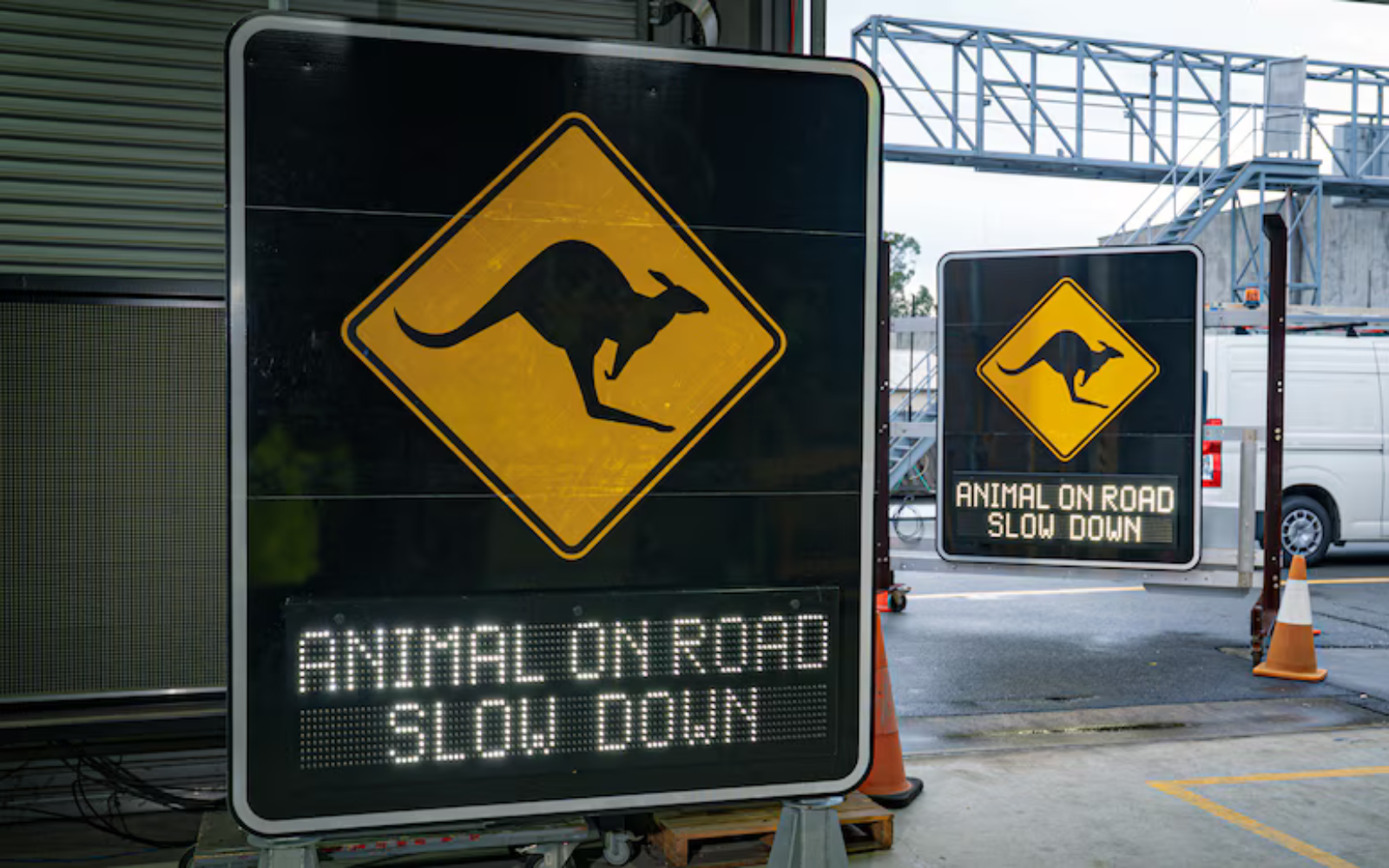 AI Meets Wildlife: The Smart Road Signs Helping Save Aussie Animals