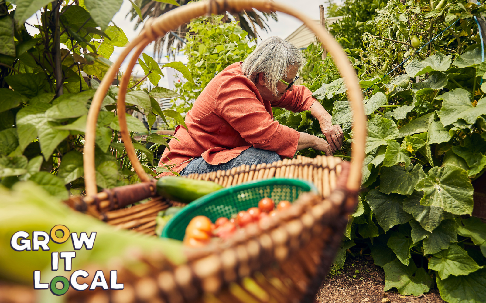 Australian Startup 'Grow It Local' Are Revolutionising Home Gardening...