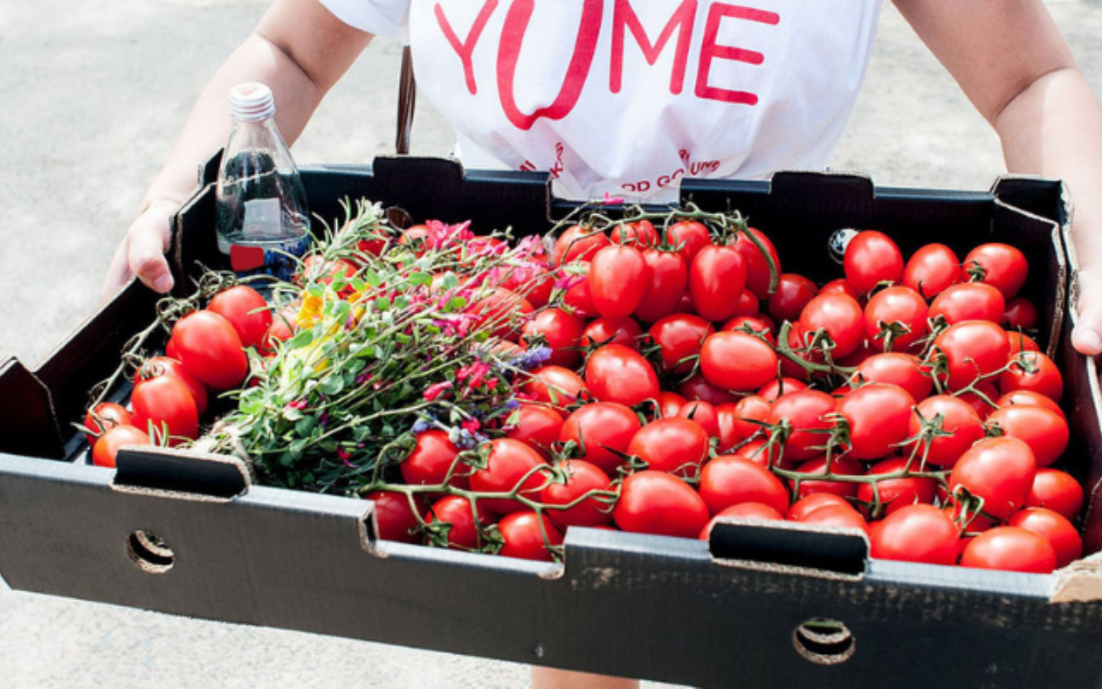 Yume's Fight Against Food Waste Gains Momentum with Fresh Funding Boost