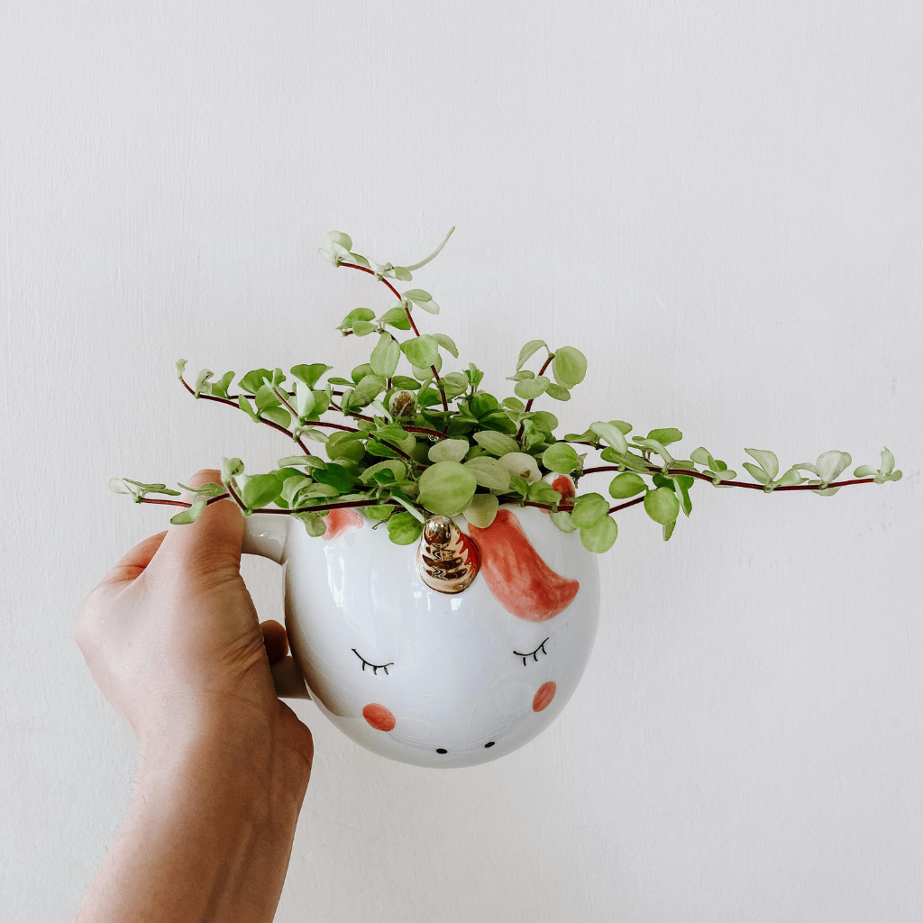 6 Clever Ways to Make Your Valentine's Gifts More Eco-Friendly and Thoughtful