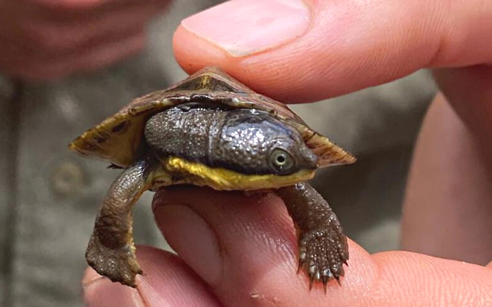 10 Happy Earth News Stories From Around the World…