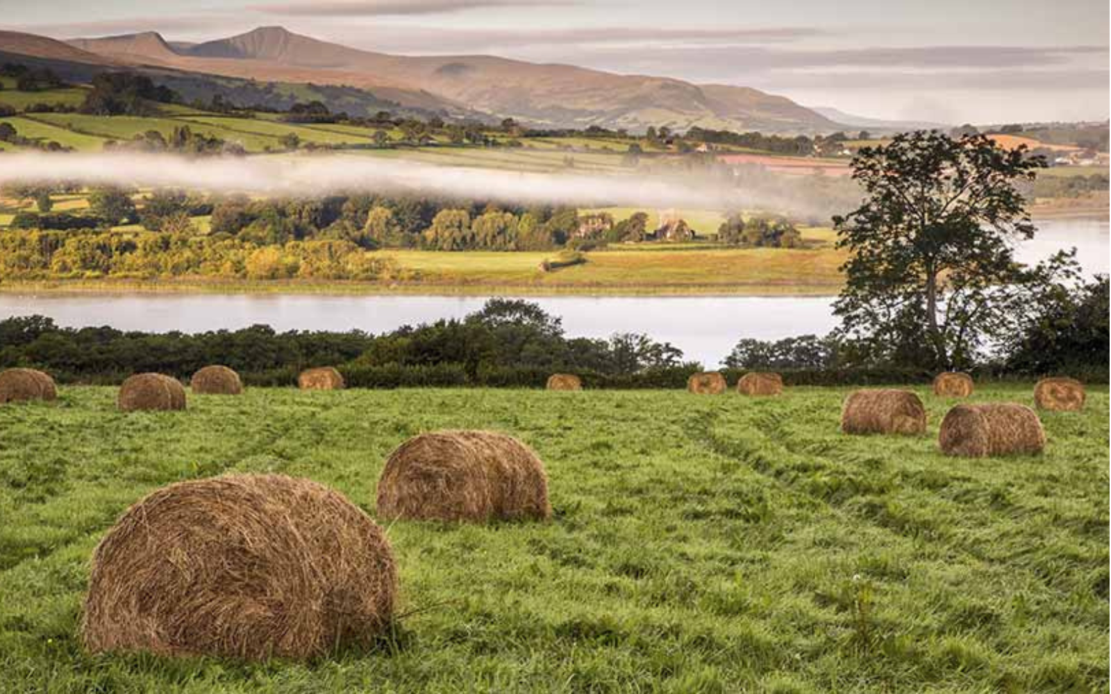 Wales Pays Farmers to Restore Habitats!