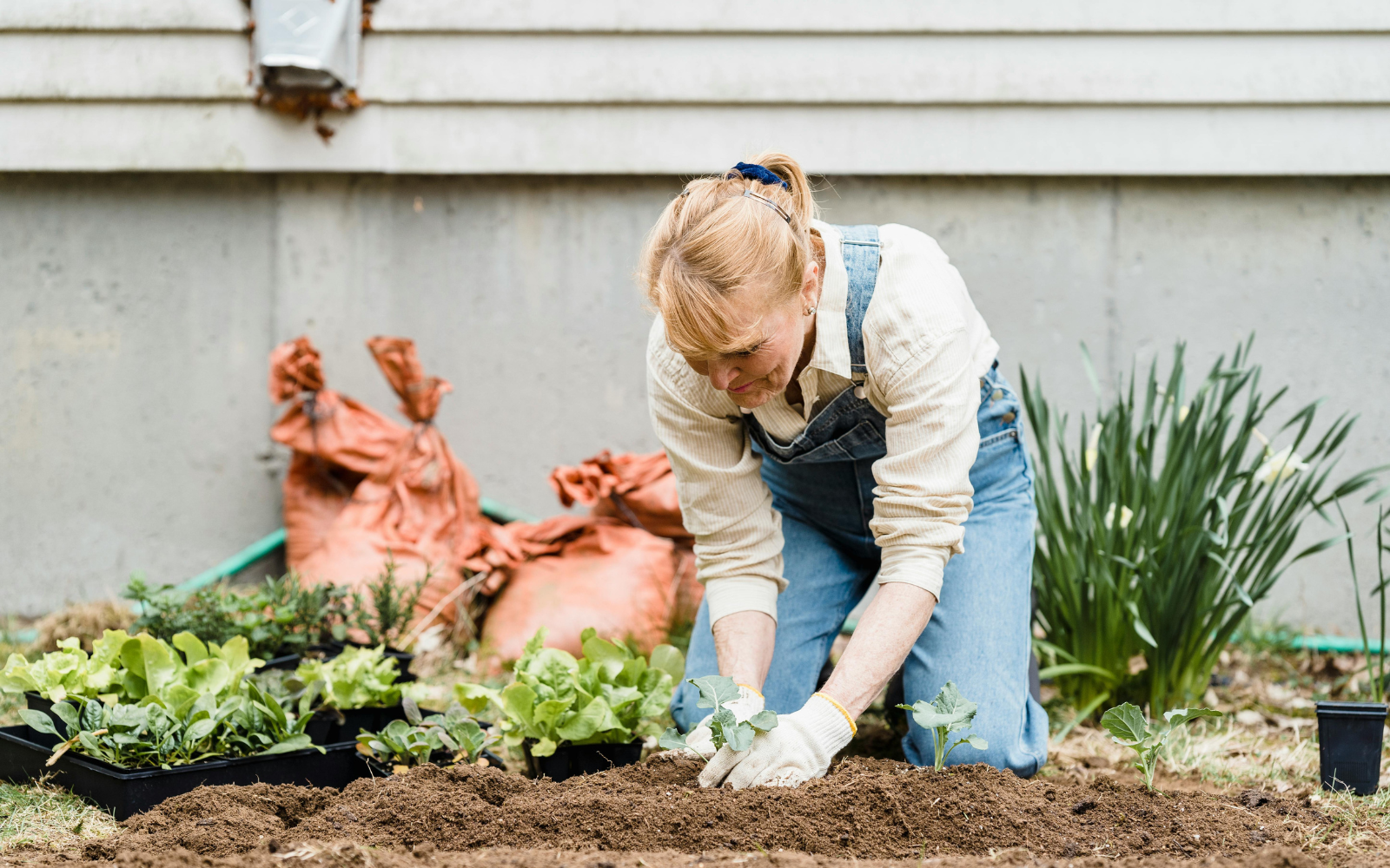 Urban Jungle Makeover: How Guerrilla Gardeners Are Rewilding France’s Cities