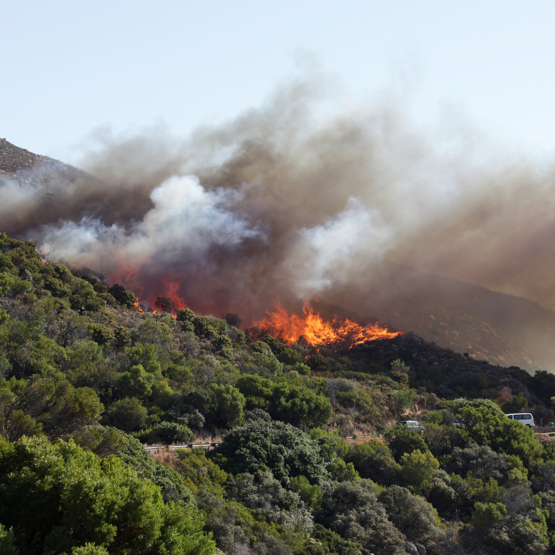 How you can help during the fires!