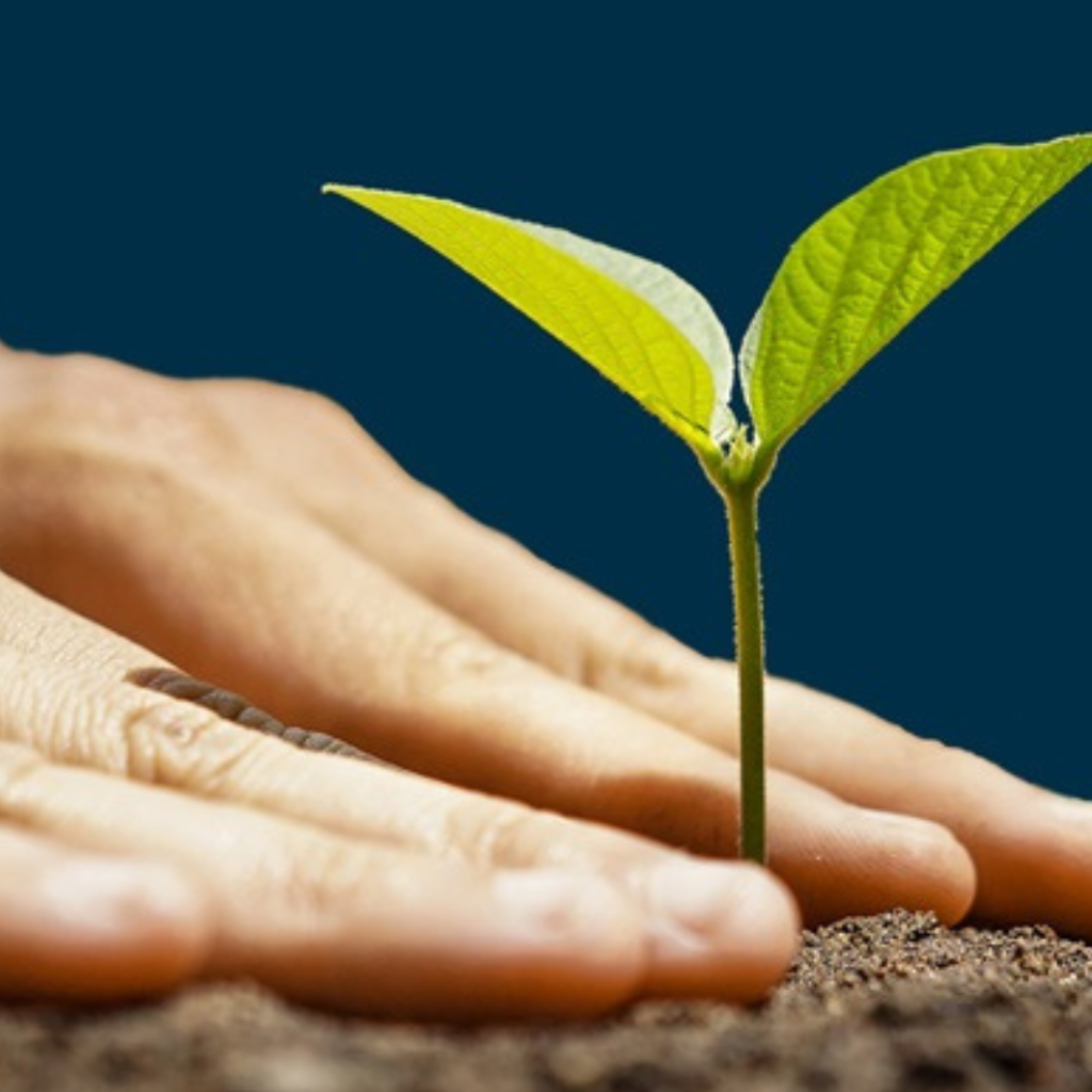 Ethical super in australia