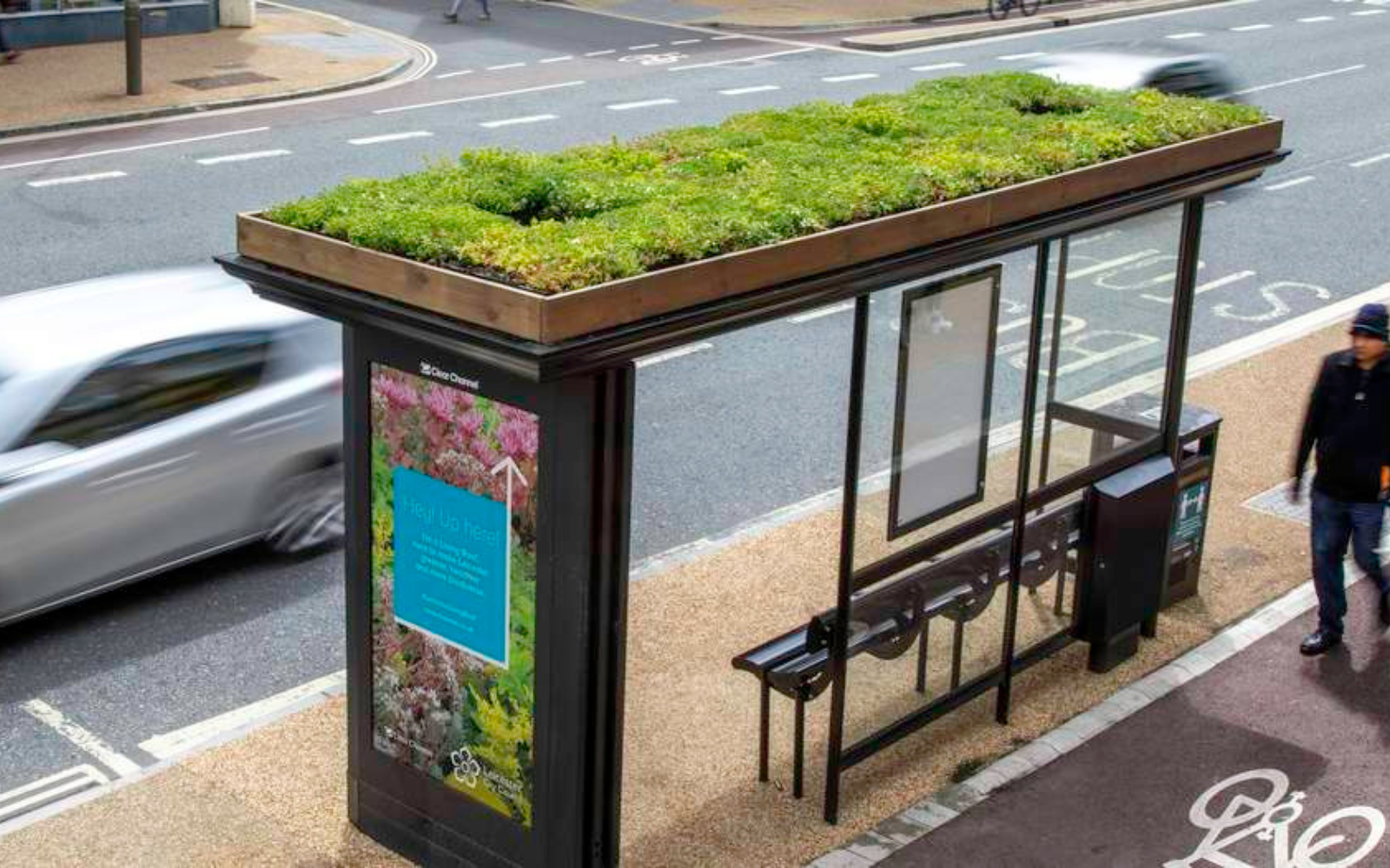 Bees are Getting Busy at UK Bus Stops