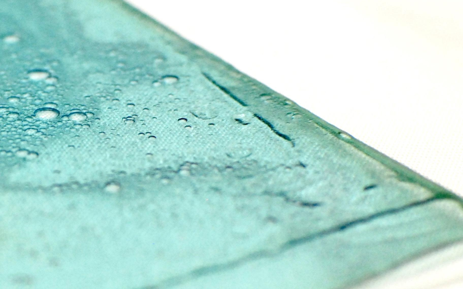 Swapping Oil for Algae: Spirulina Breakthrough in Bio-Plastic Technology!