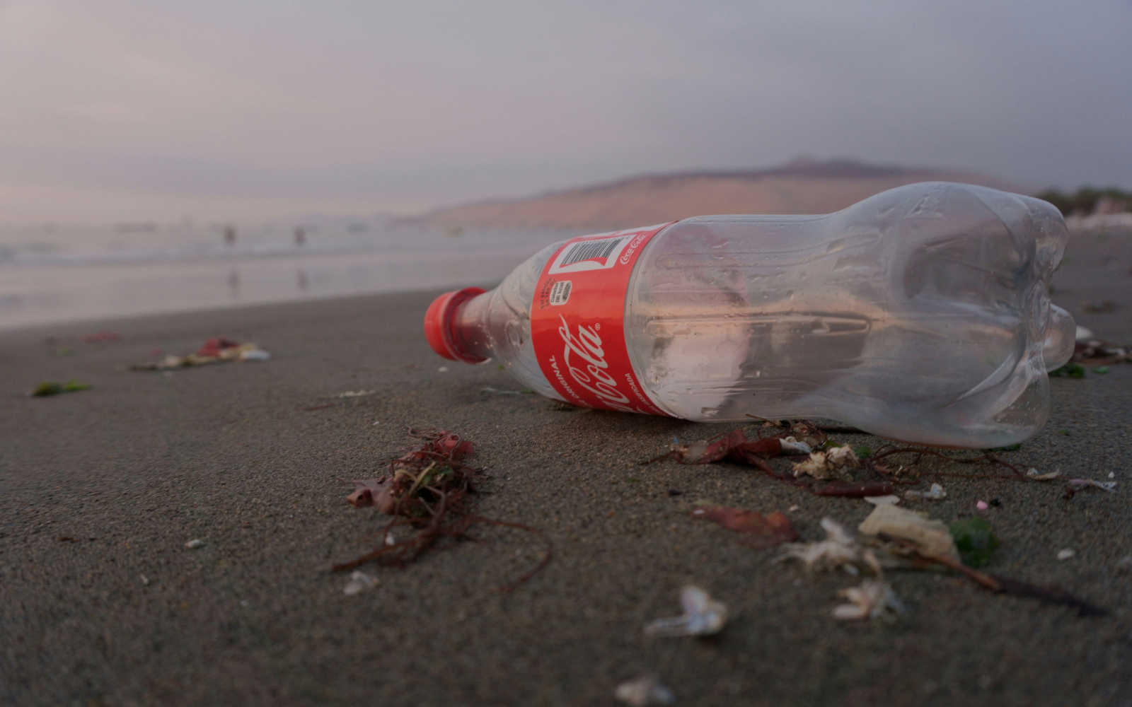 Greenwashing Under Pressure: Coca-Cola Called Out for Misleading Recycling Labels