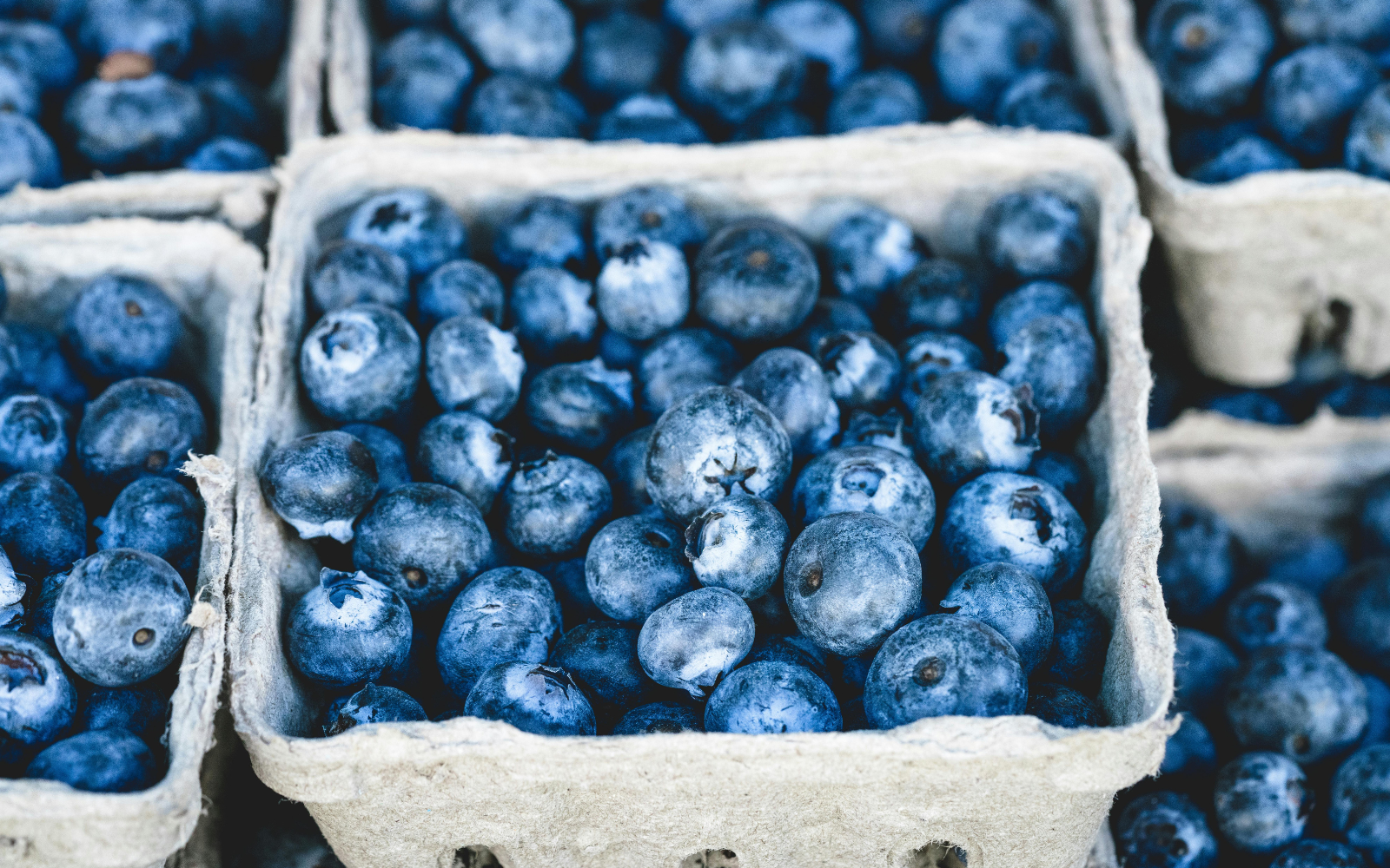 Berry Good News: Farmers Ditch Plastic for Cardboard Punnets