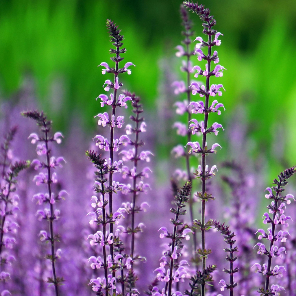 How Sleep Impacts Your Health - 7 Simple Natural Ways to Improve It