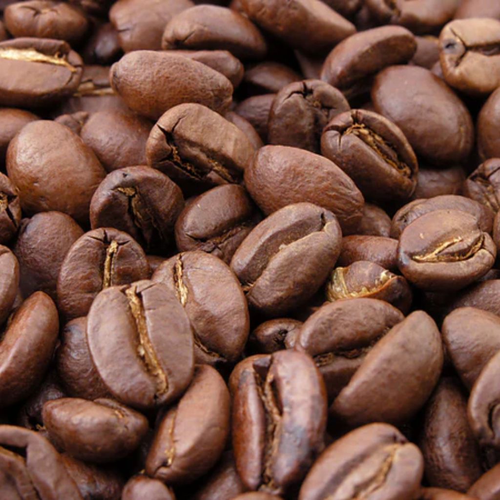 A Zero Waste Coffee Routine: Method, Mylks & More!