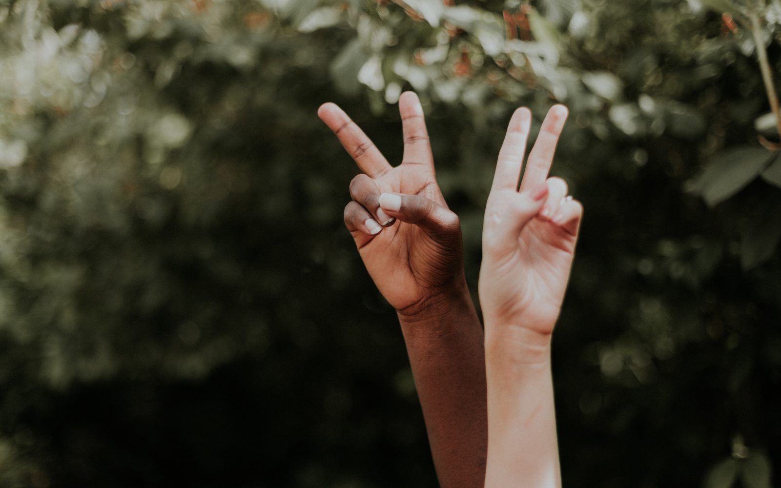 Kindness is being used as a force for good...