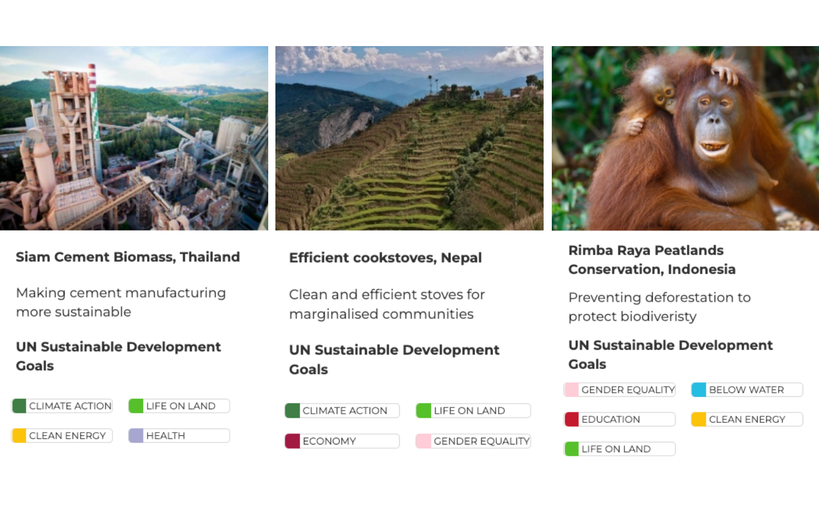 Carbon Offset Projects Go For Zero Supports