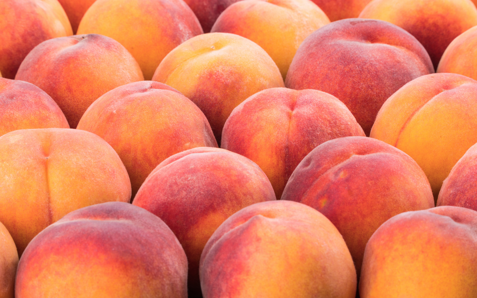 Aussie craft beer brand is fighting food waste...