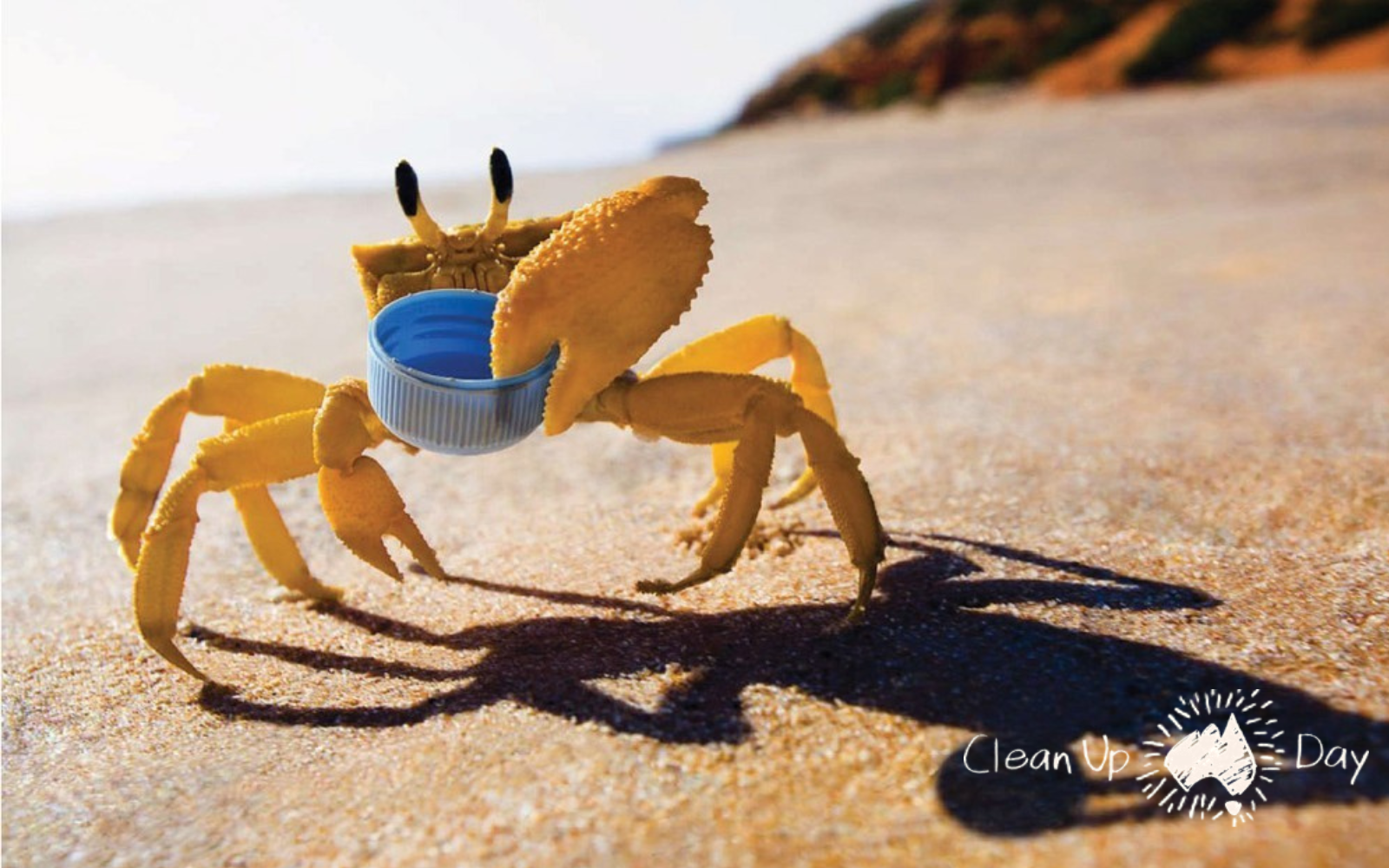 Australia's Biggest Clean Up 2024...