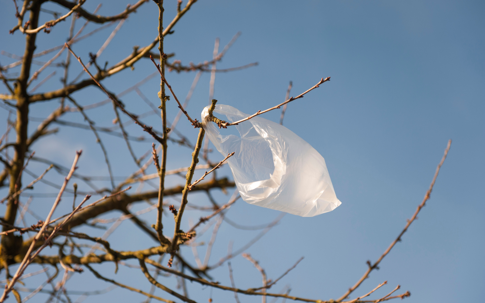 Plastic Bans In Australia