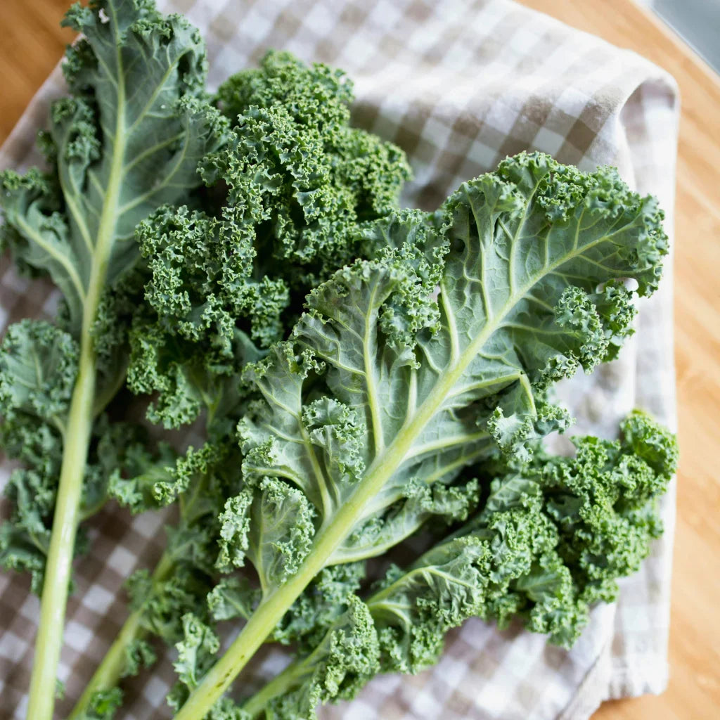 Dirty Dozen Guide: How to Reduce Pesticide Exposure