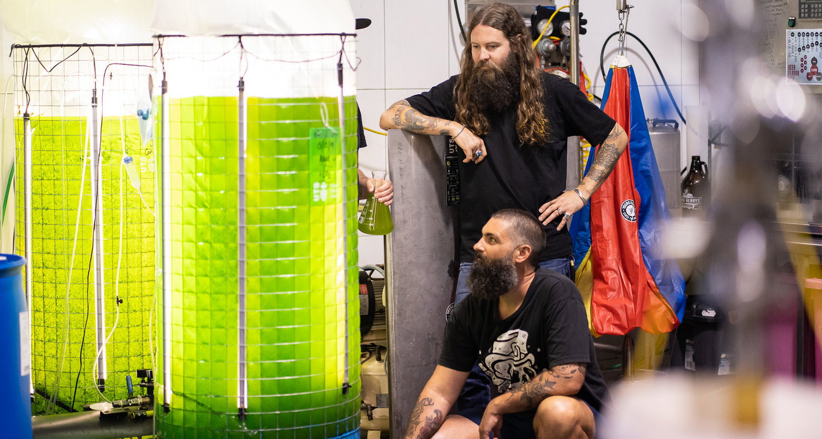 Sydney Brewery Uses Algae to Reduce Emissions...