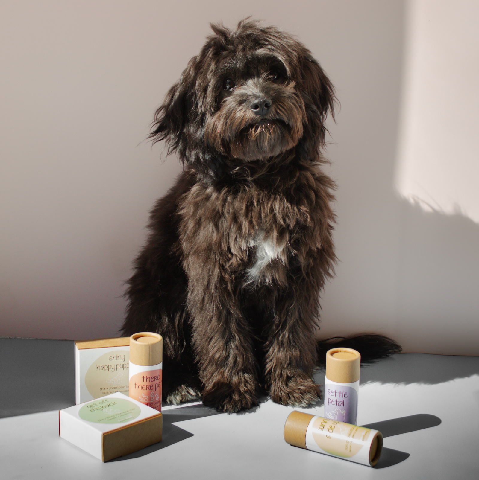 Paw-some Ways to Achieve Plastic-Free Pet Care: Our Top Tips Revealed…