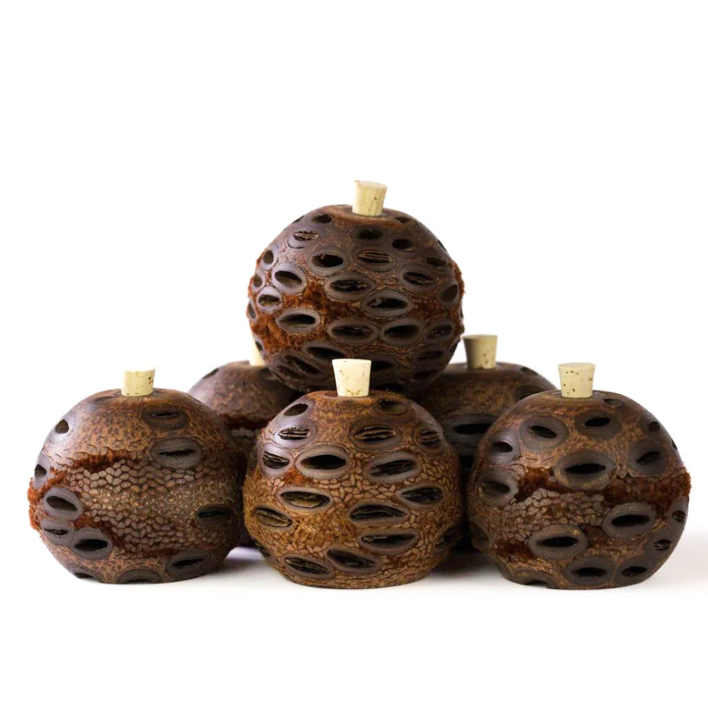Go-For-Zero-Australia-Banksia-Pods-Australia-Aroma-Pod-Diffuser-6-Pack