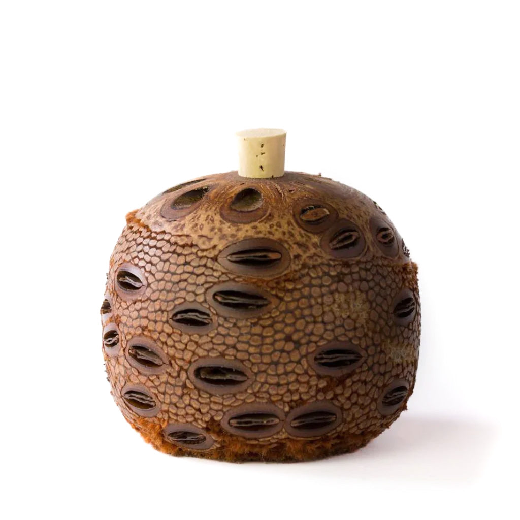 Go-For-Zero-Australia-Banksia-Pods-Australia-Aroma-Pod-Diffuser-Medium