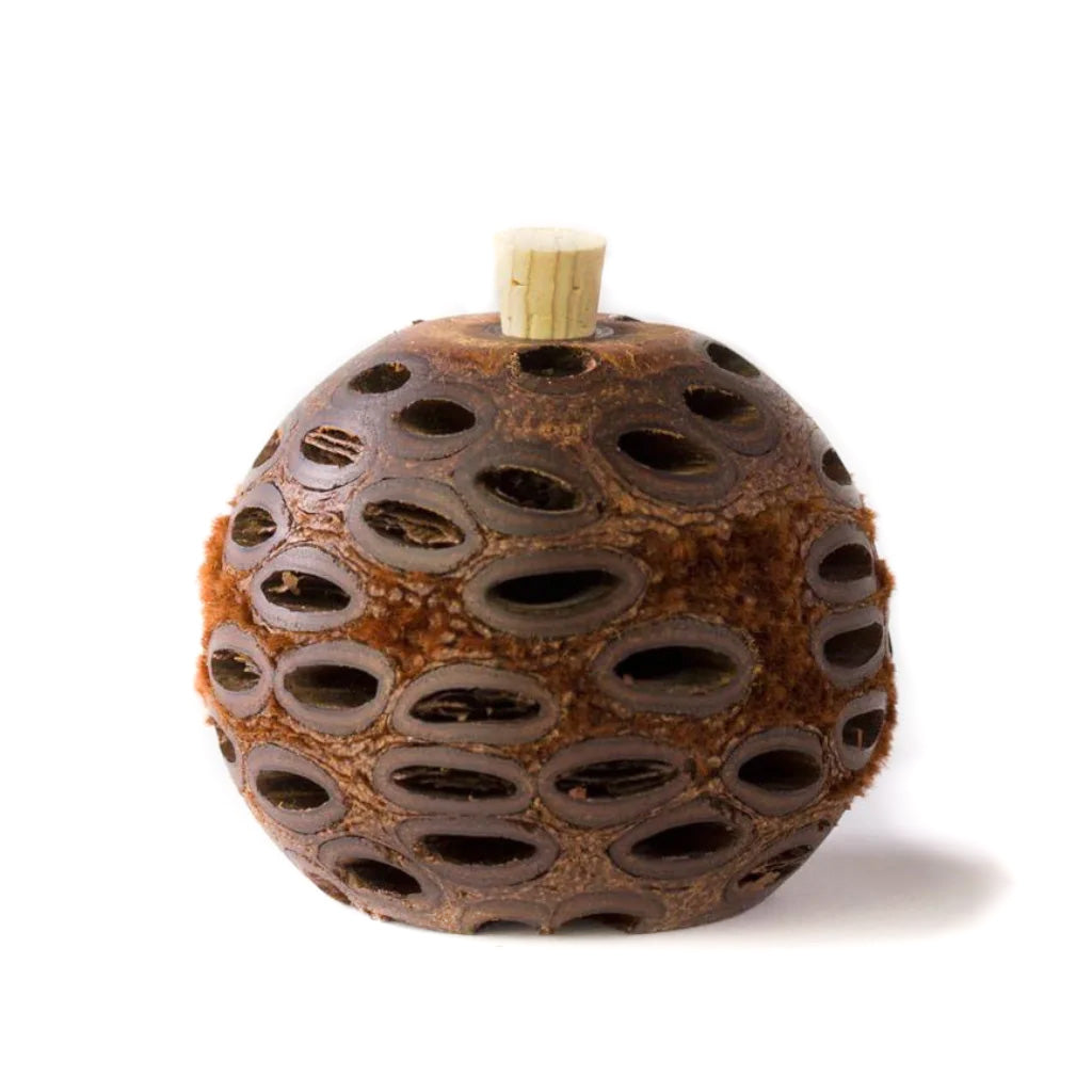 Go-For-Zero-Australia-Banksia-Pods-Australia-Aroma-Pod-Diffuser-Mini
