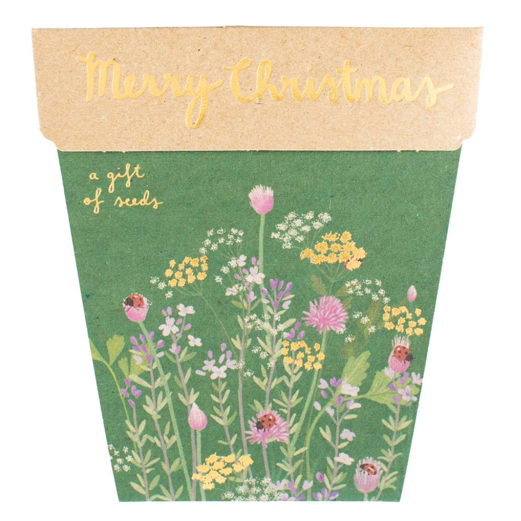 Go-For-Zero-Australia-Sow-N-Sow-Australia-Christmas-Herbs-Front
