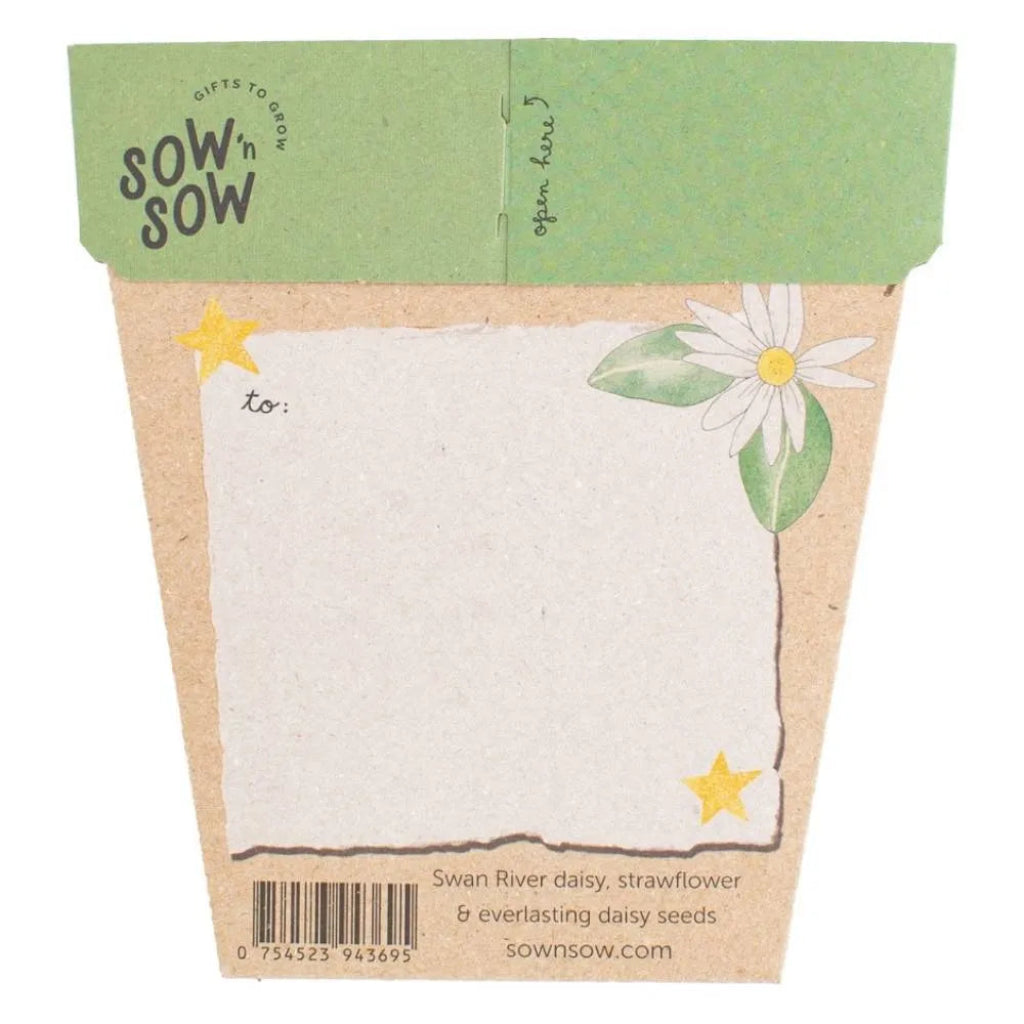 Go-For-Zero-Australia-Sow-N-Sow-Australia-Christmas-Native-Daisies-Seed-Gift