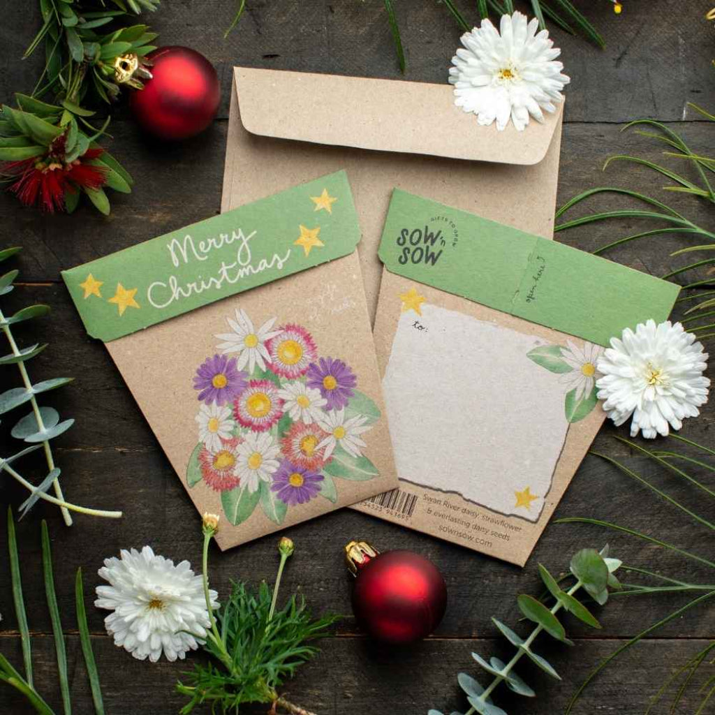 Go-For-Zero-Australia-Sow-N-Sow-Australia-Christmas-Native-Daisies-Seed-Gift-Styled