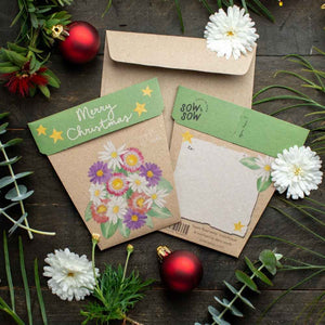 Go-For-Zero-Australia-Sow-N-Sow-Australia-Christmas-Native-Daisies-Seed-Gift-Styled
