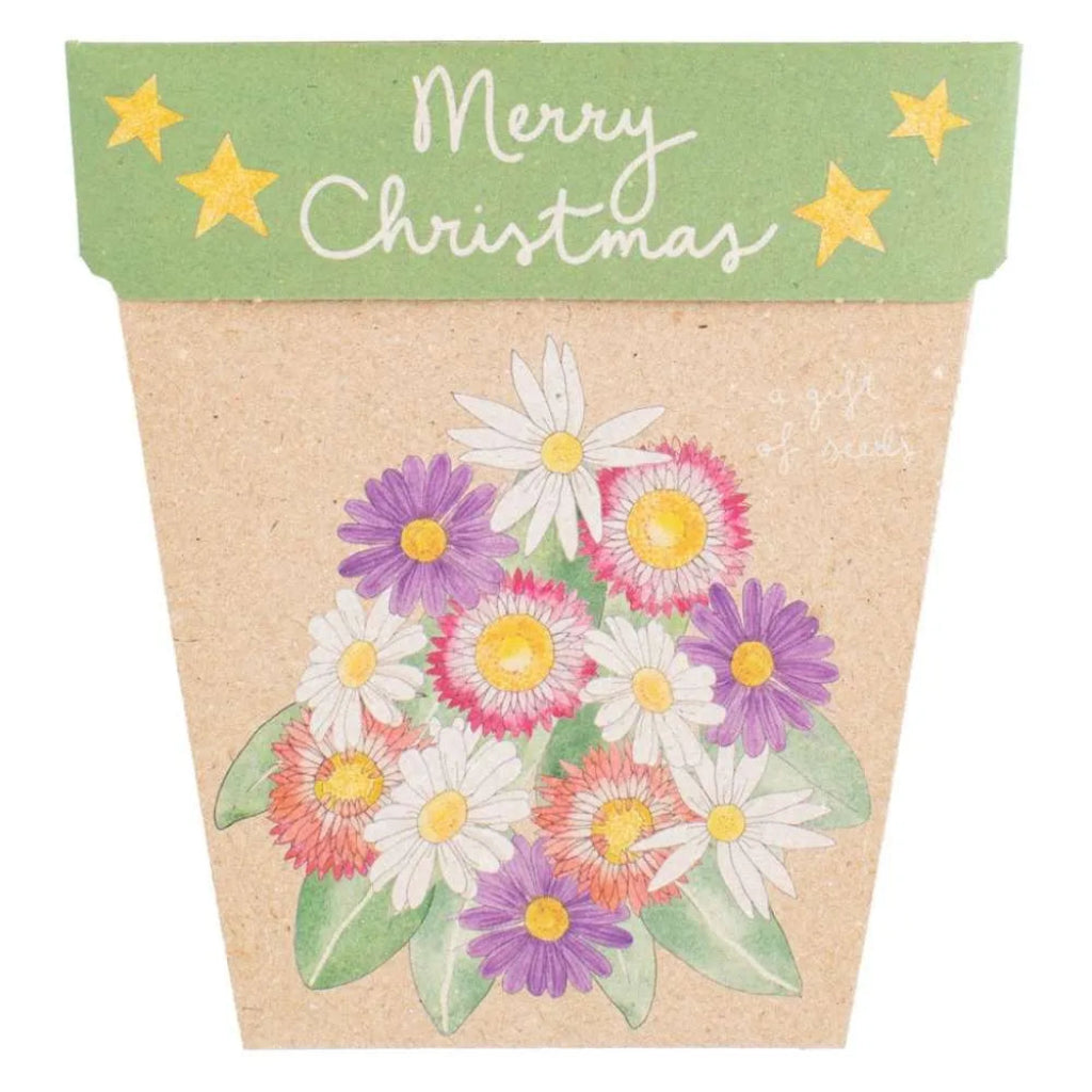 Go-For-Zero-Australia-Sow-N-Sow-Australia-Christmas-Native-Daisies-Seed-Gift