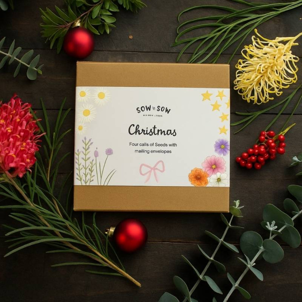 Go-For-Zero-Australia-Sow-N-Sow-Australia-Christmas-Seed-Four-Pack-Front