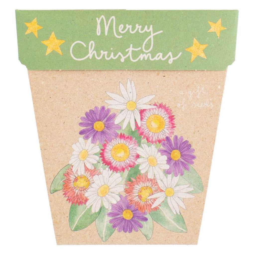 Go-For-Zero-Australia-Sow-N-Sow-Australia-Christmas-Seed-Four-Pack-Merry-Christmas-1