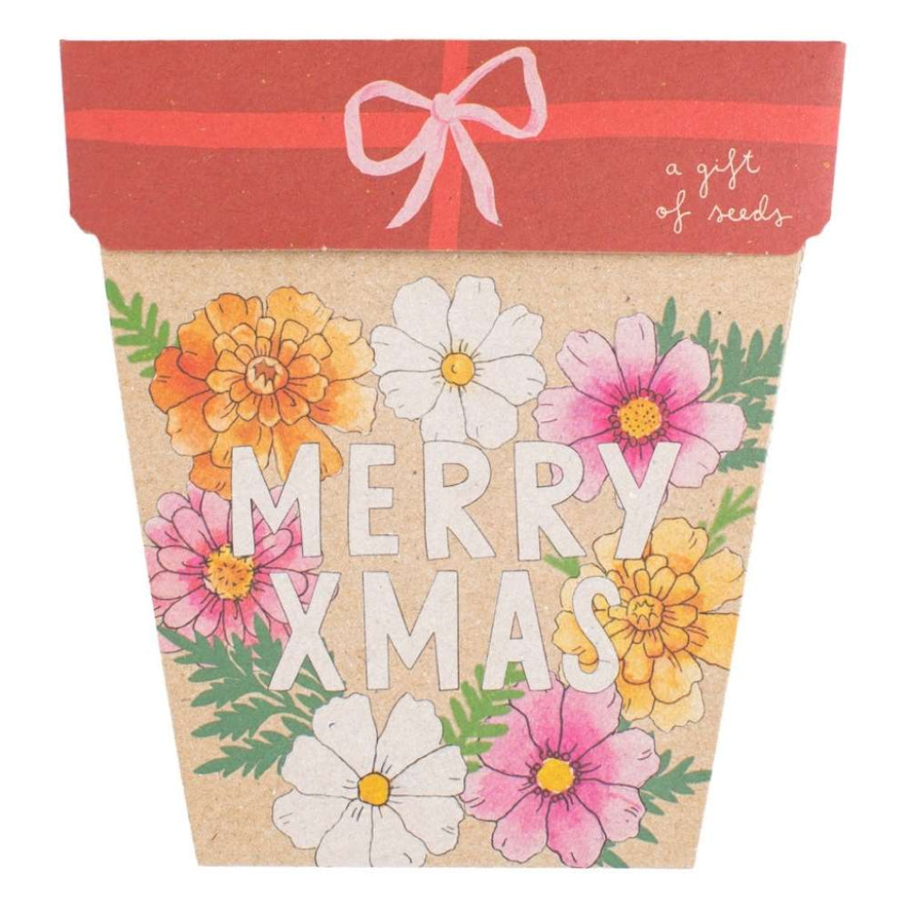 Go-For-Zero-Australia-Sow-N-Sow-Australia-Christmas-Seed-Four-Pack-Merry-Christmas