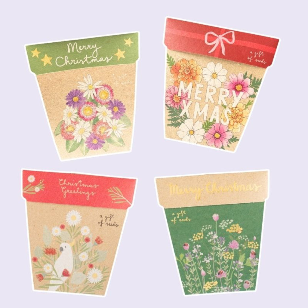 Go-For-Zero-Australia-Sow-N-Sow-Australia-Christmas-Seed-Four-Pack