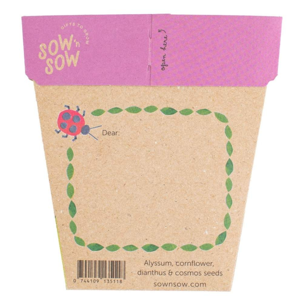 Go-For-Zero-Australia-Sow-N-Sow-Australia-Echanted-Garden-Gift-Of-Seeds-Front