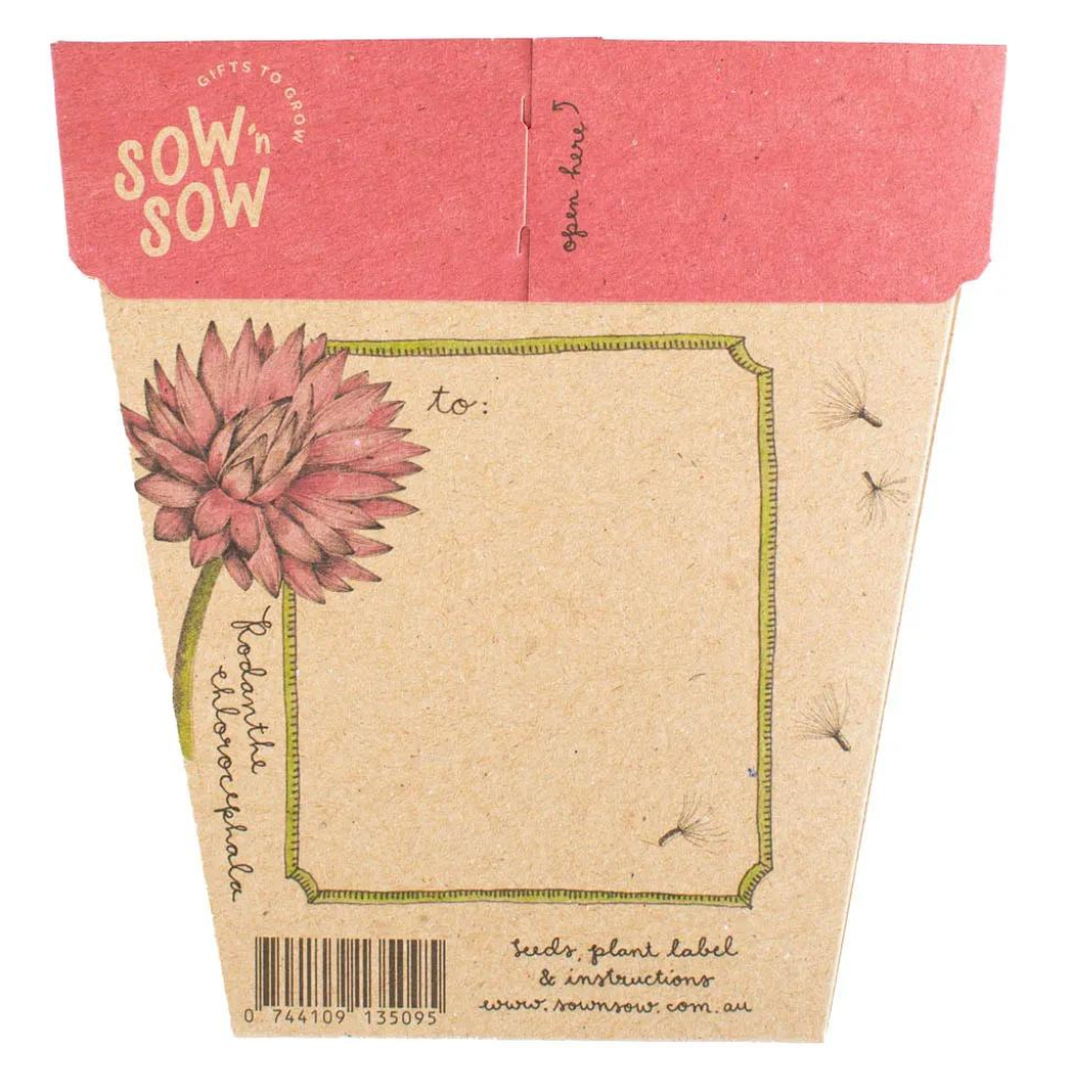 Go-For-Zero-Australia-Sow-N-Sow-Australia-Everlasting-Daisy-Seed-Gift-Back
