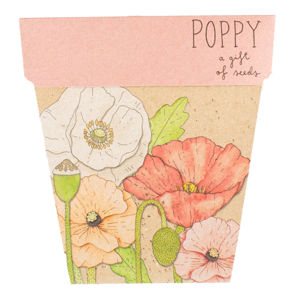 Go-For-Zero-Australia-Sow-N-Sow-Australia-Flower-Seed-Gift-Set-Poppy-Front