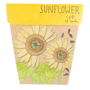 Go-For-Zero-Australia-Sow-N-Sow-Australia-Flower-Seed-Gift-Set-Sunflower-Front