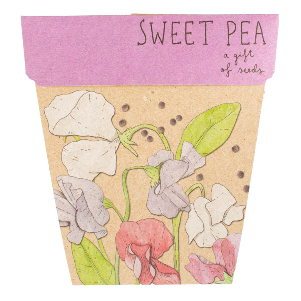 Go-For-Zero-Australia-Sow-N-Sow-Australia-Flower-Seed-Gift-Set-Sweet-Pea-Front