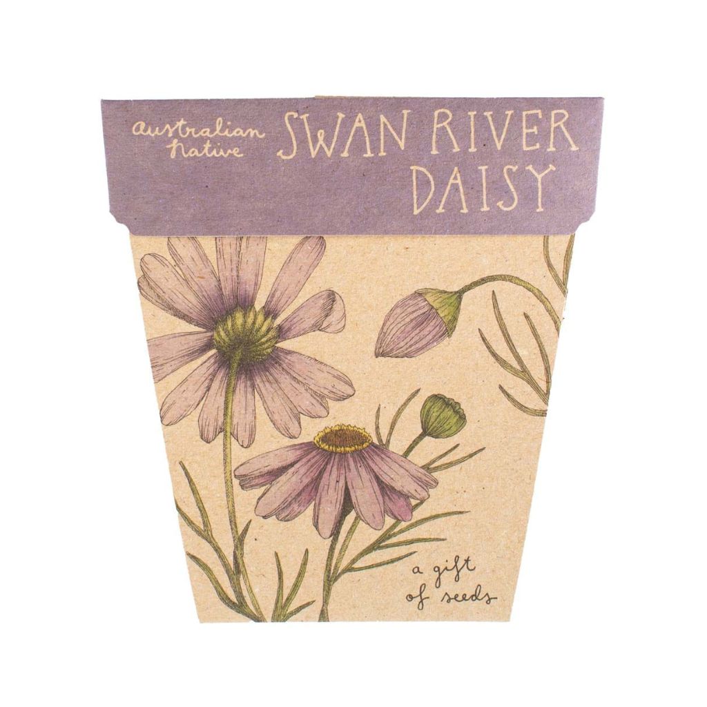 Go-For-Zero-Australia-Sow-N-Sow-Australia-Native-Seed-Gift-Set-Swan-River-Daisy