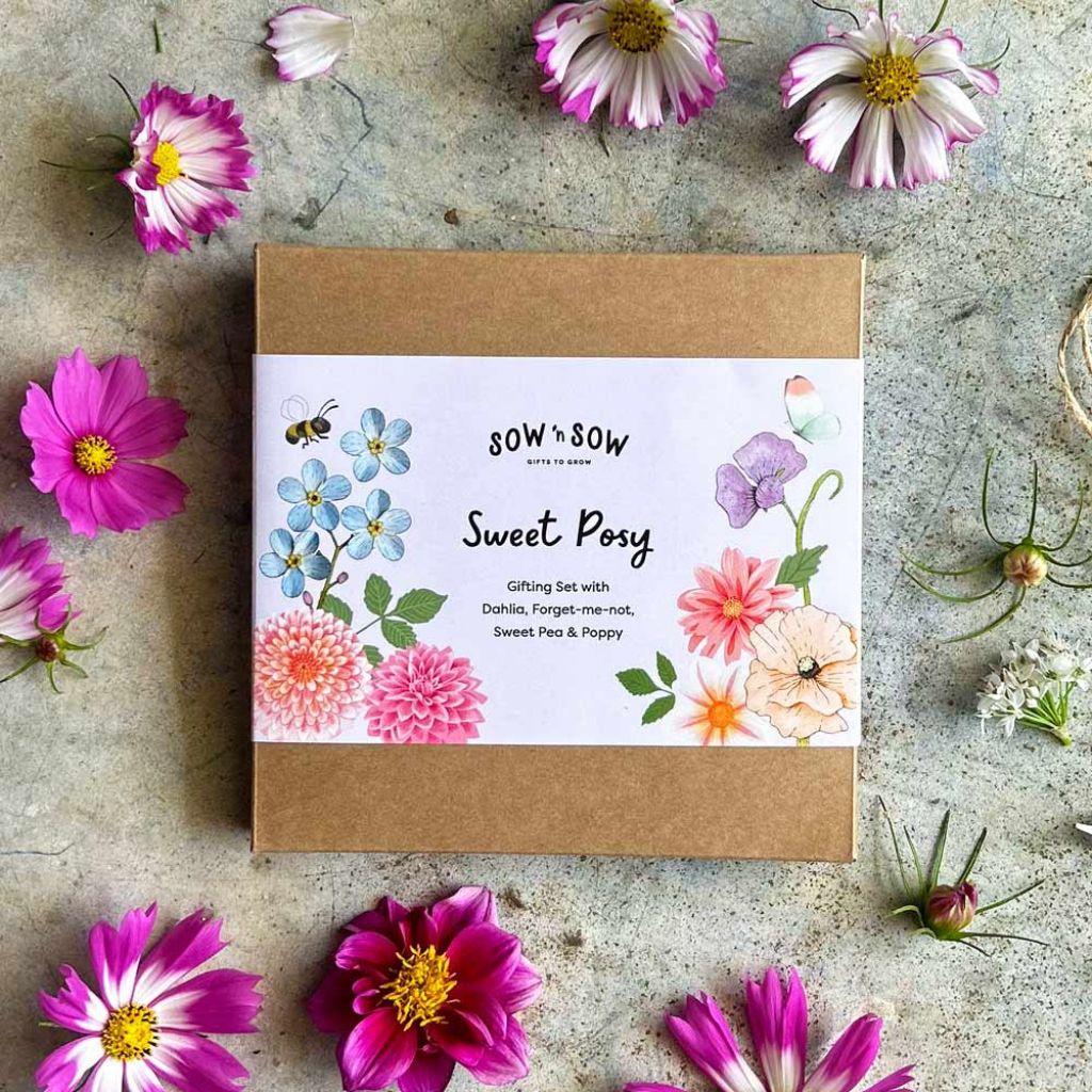 Go-For-Zero-Australia-Sow-N-Sow-Australia-Sweet-Posy-Seed-Gift-Set-Front