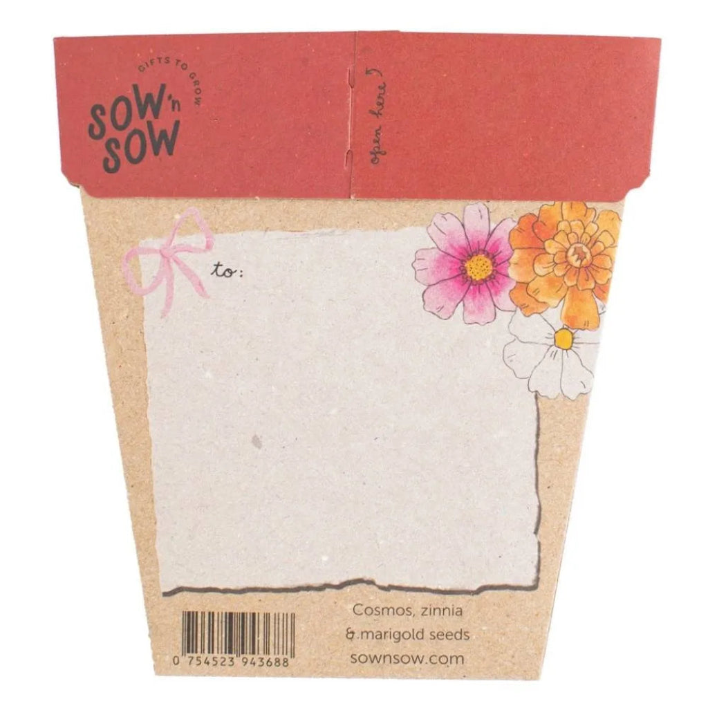 Go-For-Zero-Australia-Sow-N-Sow-Australia-Xmas-Blooms-Seed-Gift-Front