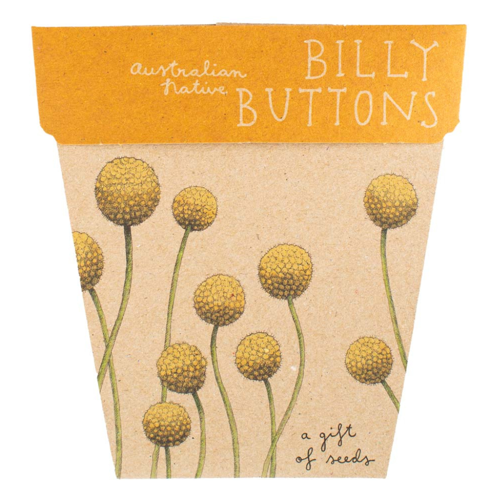 Go-For-Zero-Australia-Sow-n-Sow-Australia-Billy-Buttons-Gift-of-Seeds-Front