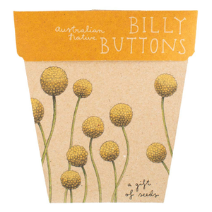 Go-For-Zero-Australia-Sow-n-Sow-Australia-Billy-Buttons-Gift-of-Seeds-Front