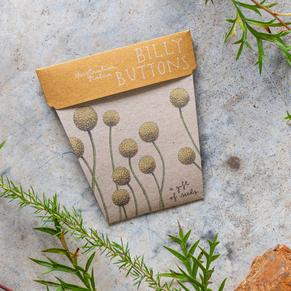 Go-For-Zero-Australia-Sow-n-Sow-Australia-Billy-Buttons-Gift-of-Seeds-Styled