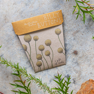 Go-For-Zero-Australia-Sow-n-Sow-Australia-Billy-Buttons-Gift-of-Seeds-Styled