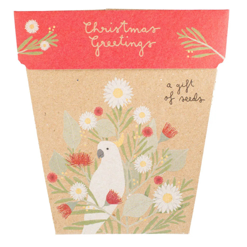 Go-For-Zero-Australia-Sow-n-Sow-Australia-Christmas-Sunflower-Seeds-Gift-3