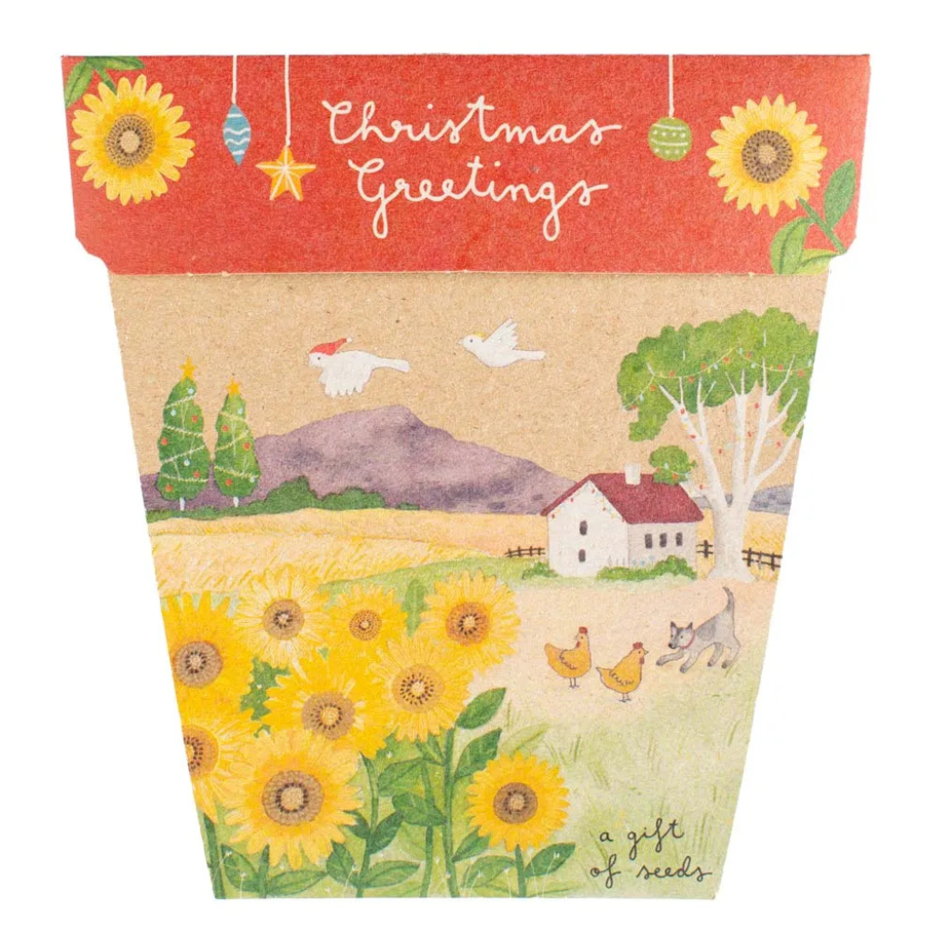 Go-For-Zero-Australia-Sow-n-Sow-Australia-Christmas-Sunflower-Seeds-Gift-Front