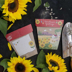 Go-For-Zero-Australia-Sow-n-Sow-Australia-Christmas-Sunflower-Seeds-Gift-Styled